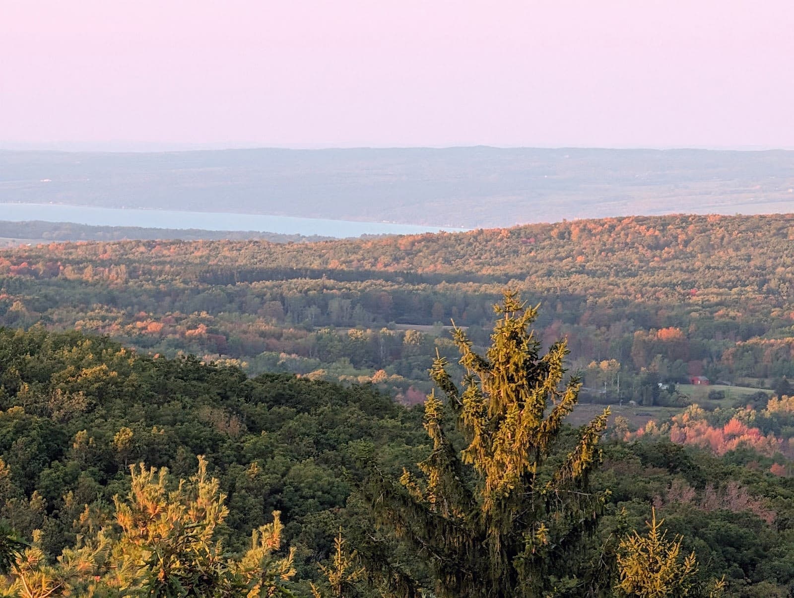 Sugar Hill State Forest