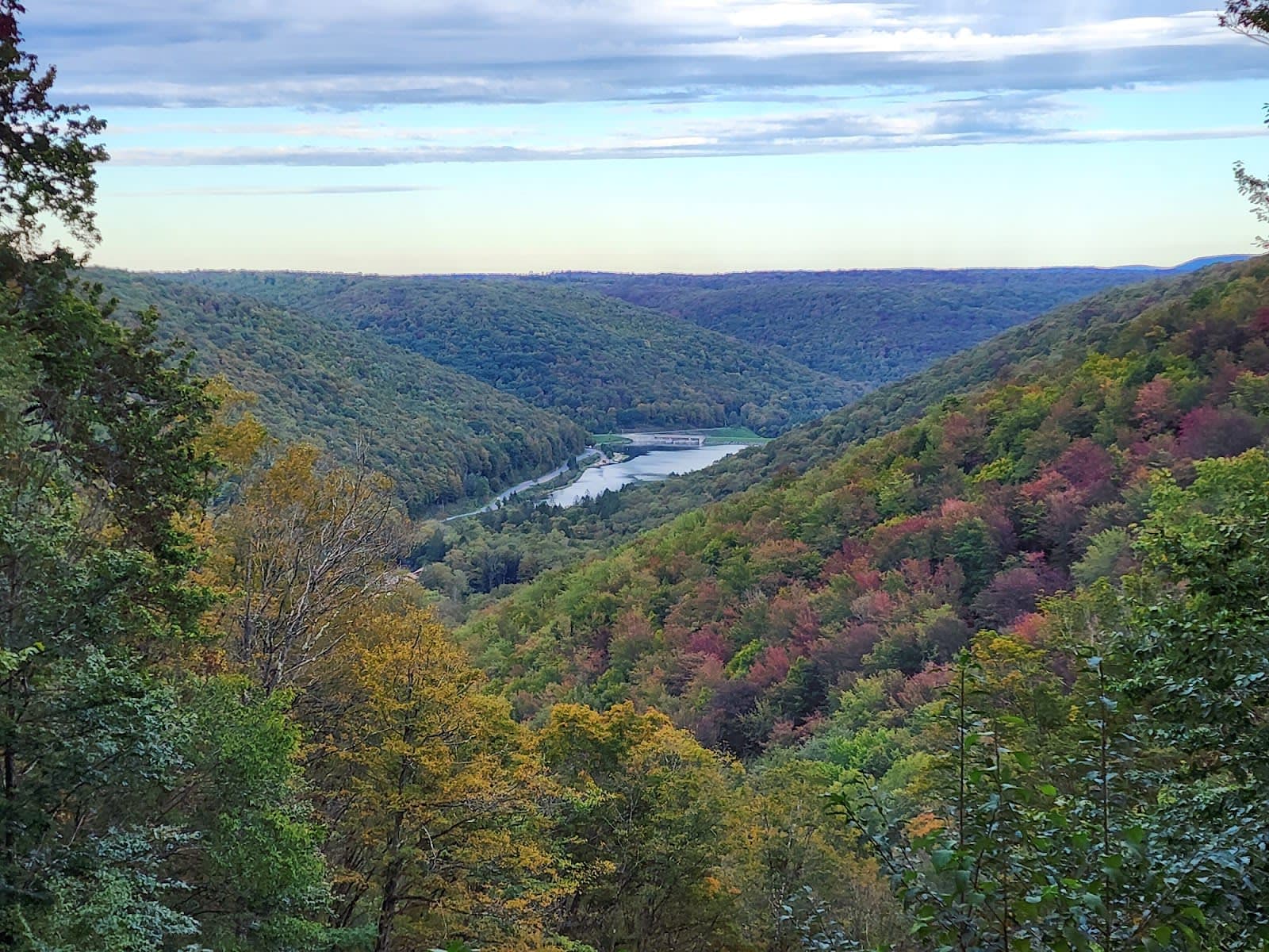 Susquehannock State Forest