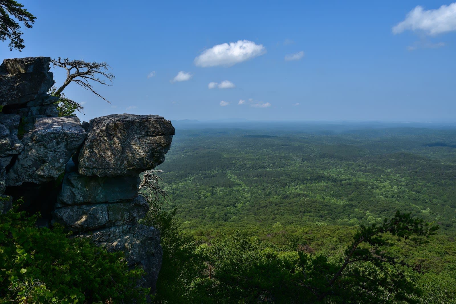 Talladega National Forest / Warden Station