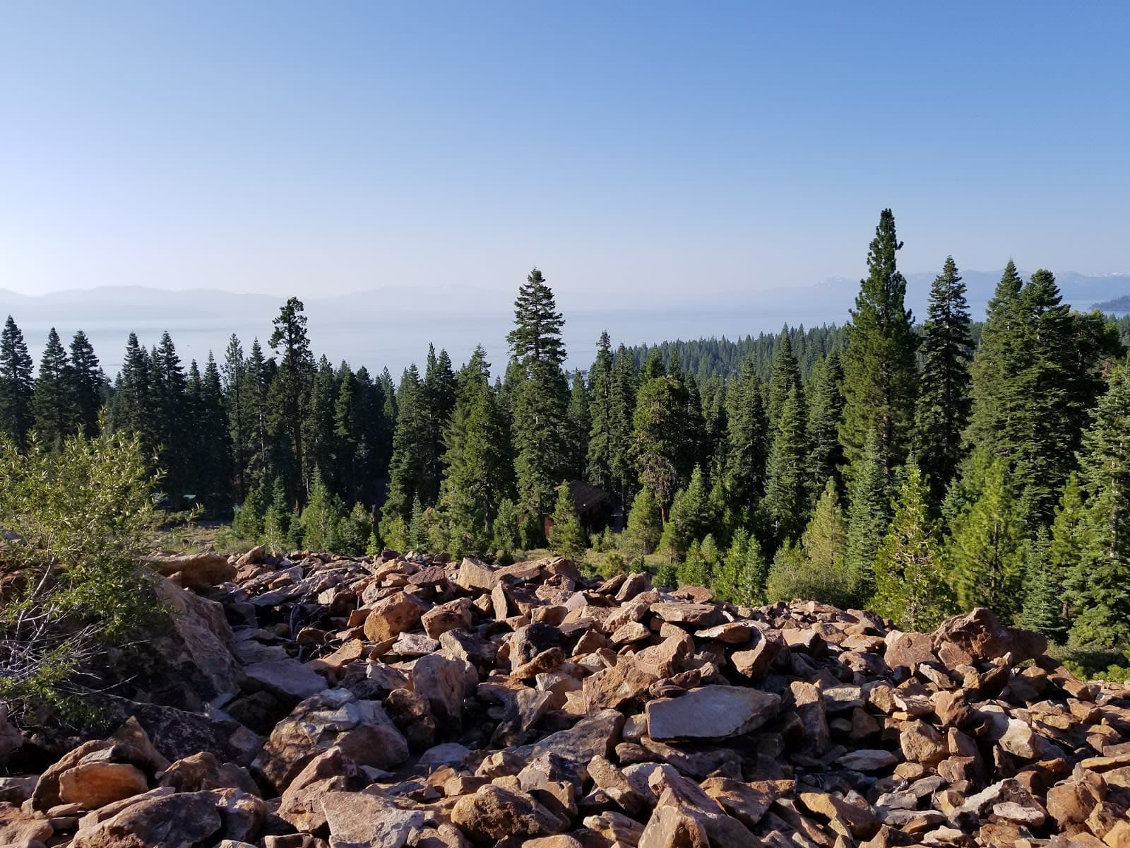 Tahoe National Forest