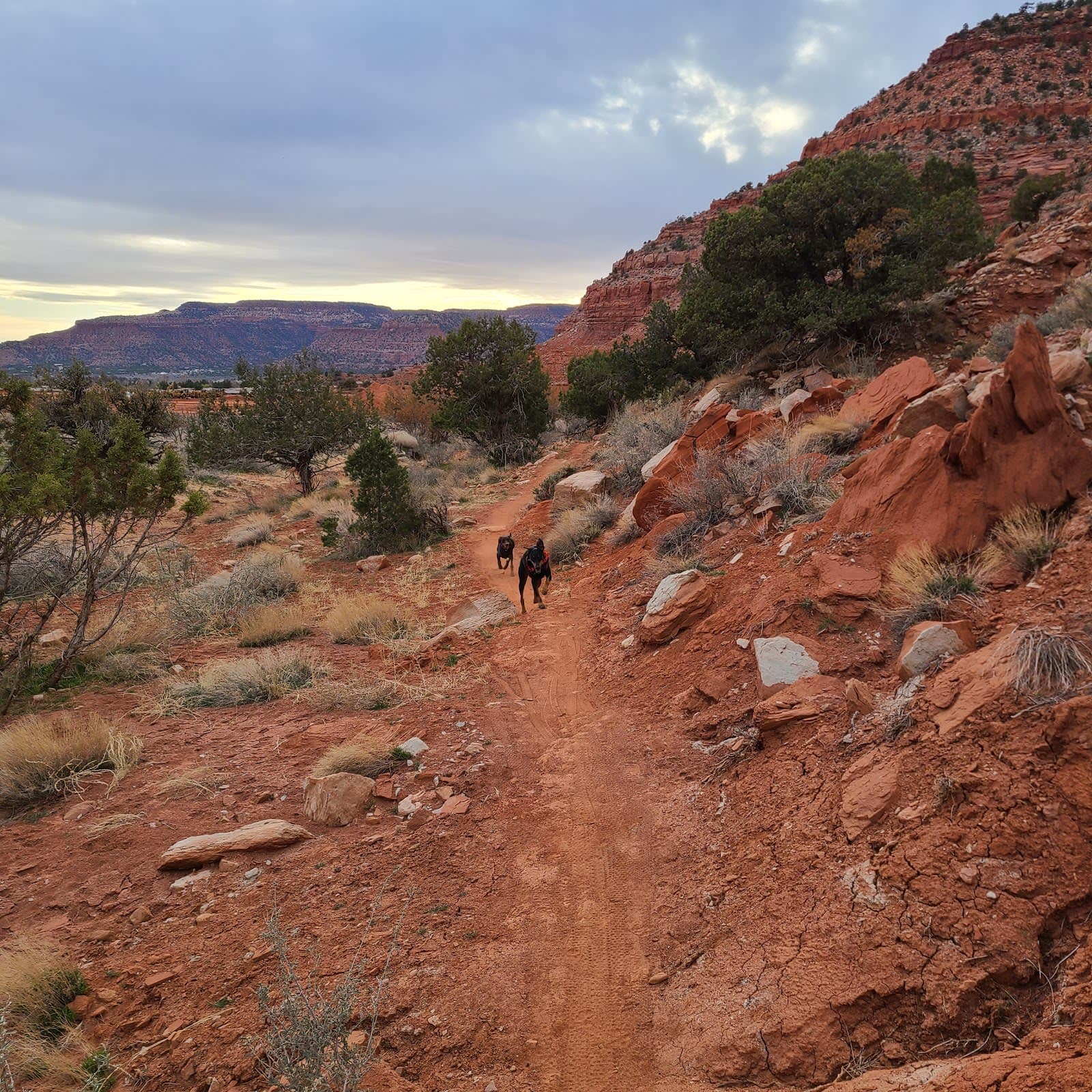 Tom's Canyon Trail
