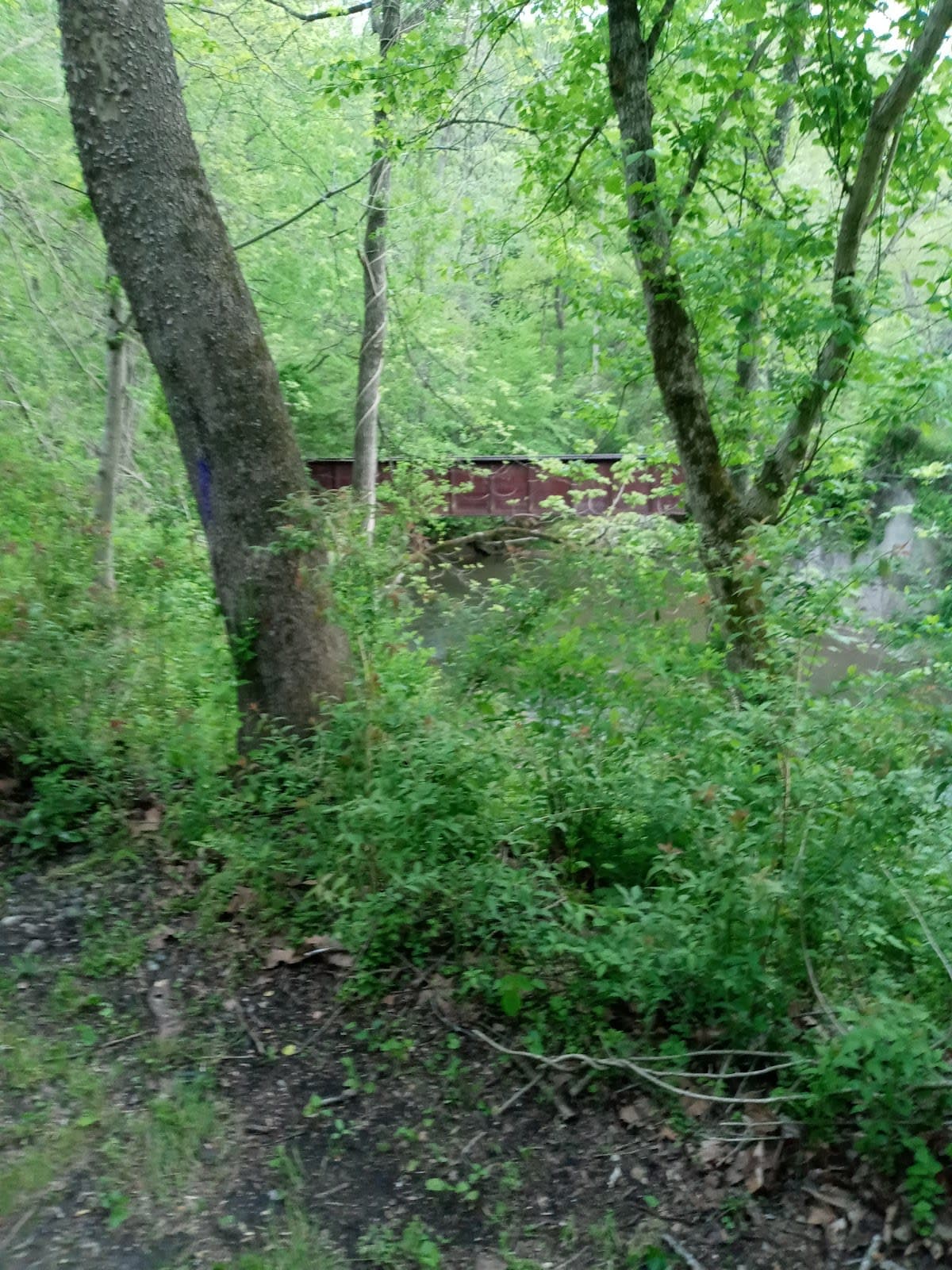 Torrey C. Brown Rail Trail
