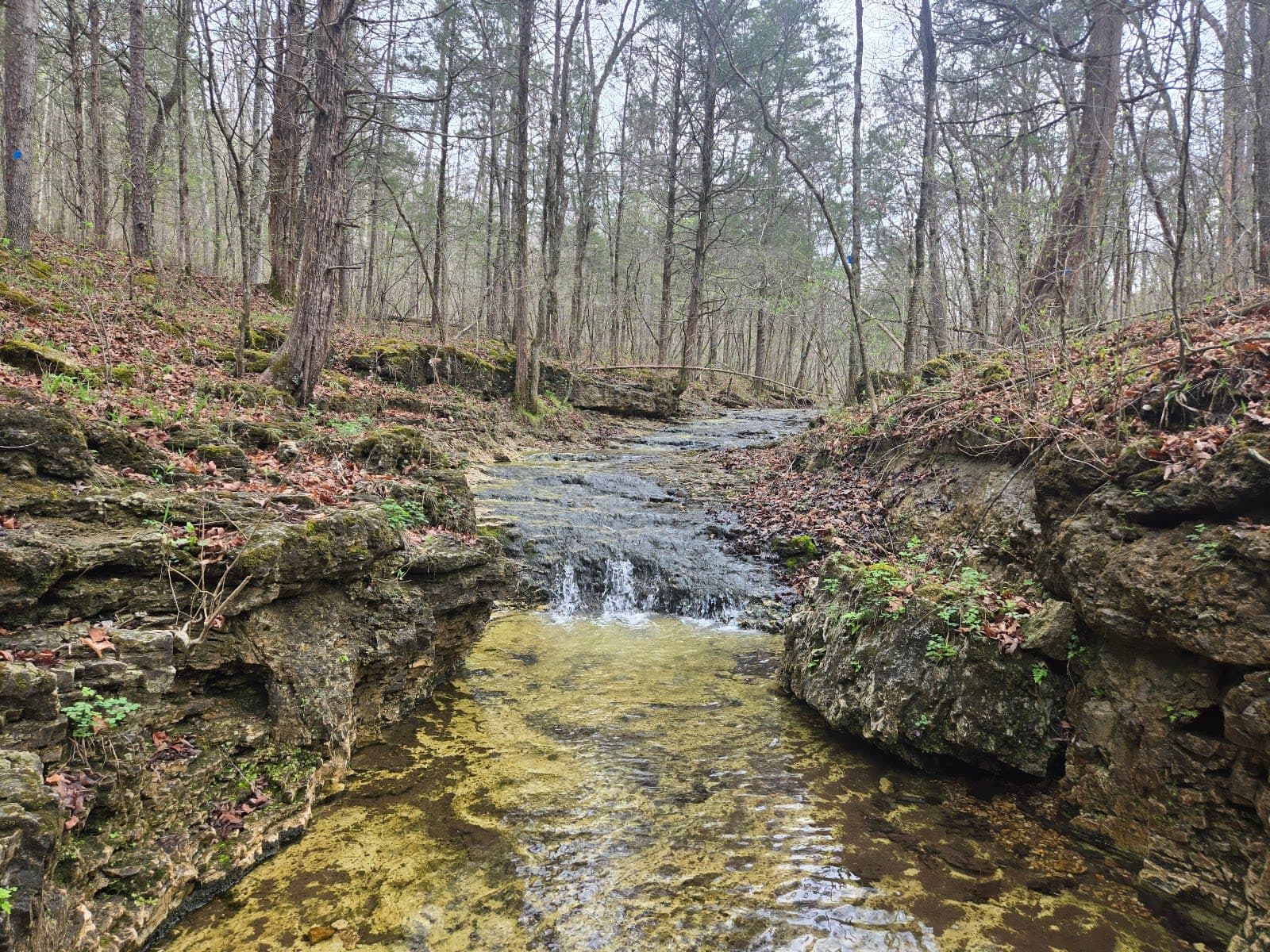 Trails of the Roger Pryor Pioneer Backcountry