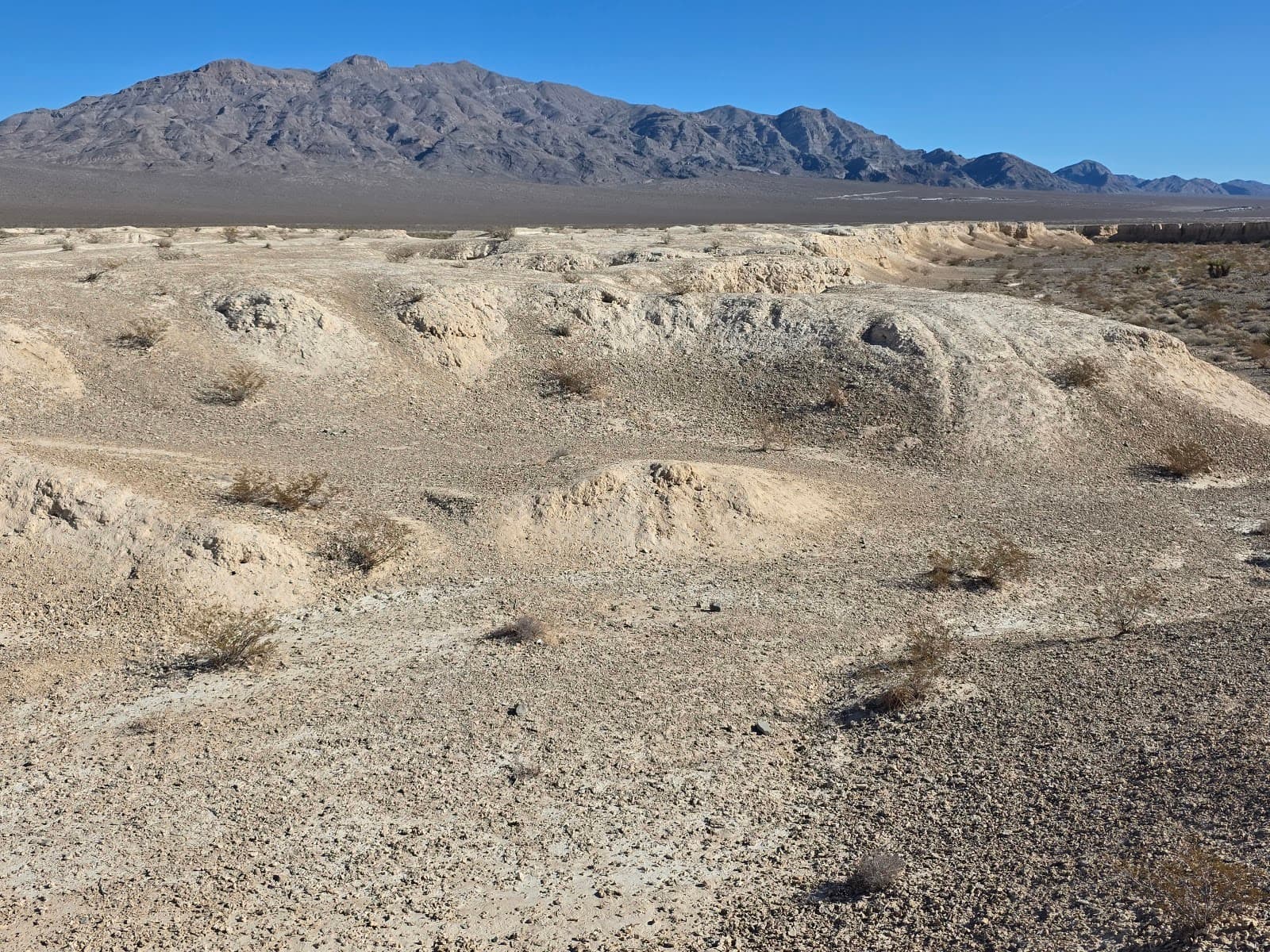 Tule Springs Fossil Beds National Monument