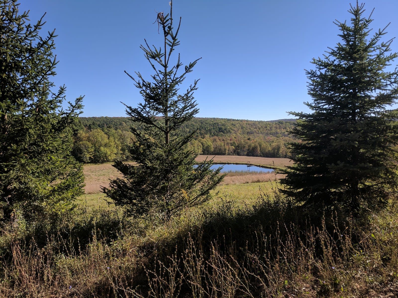 Turnpike State Forest