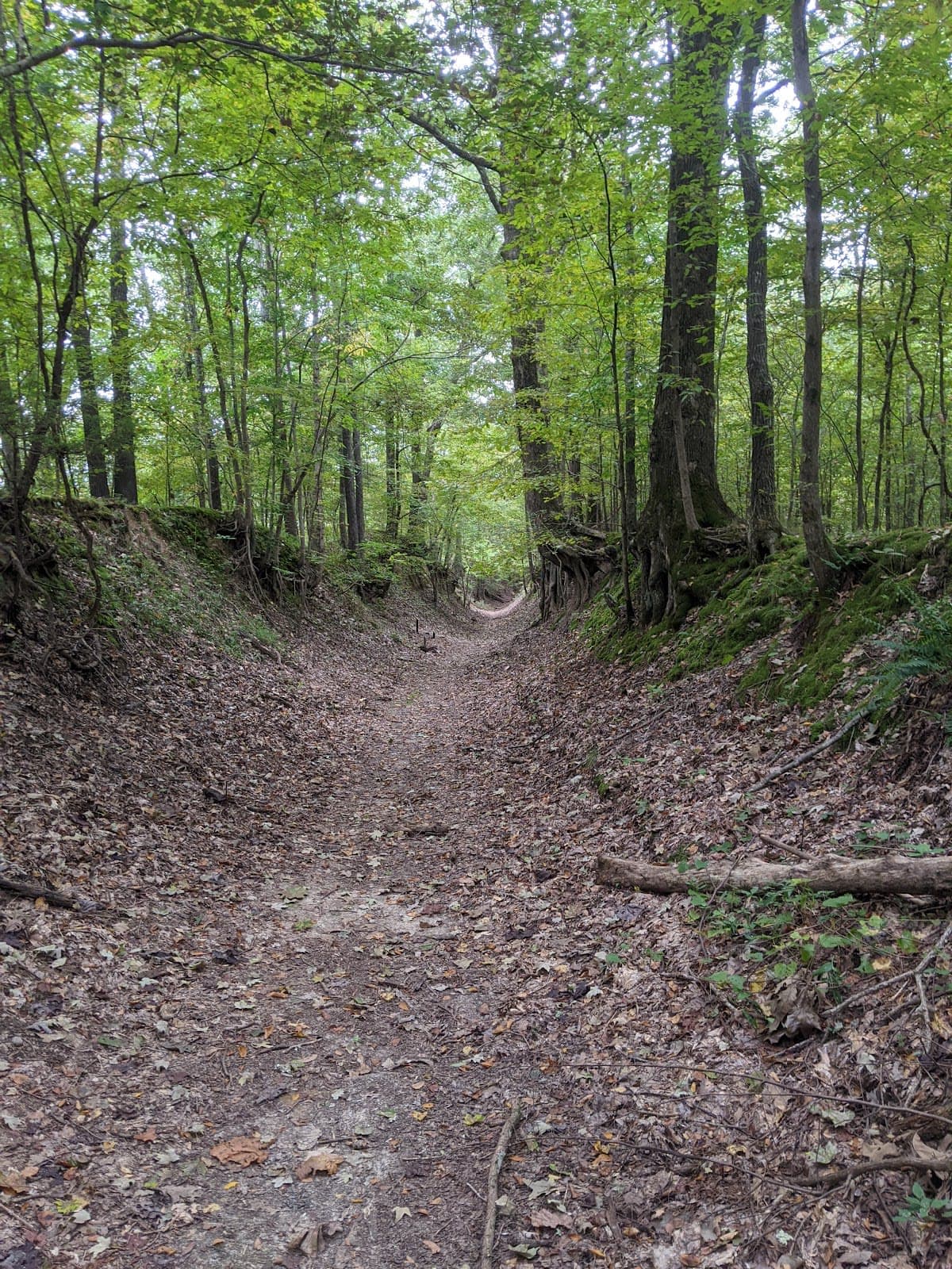 Village Creek State Park