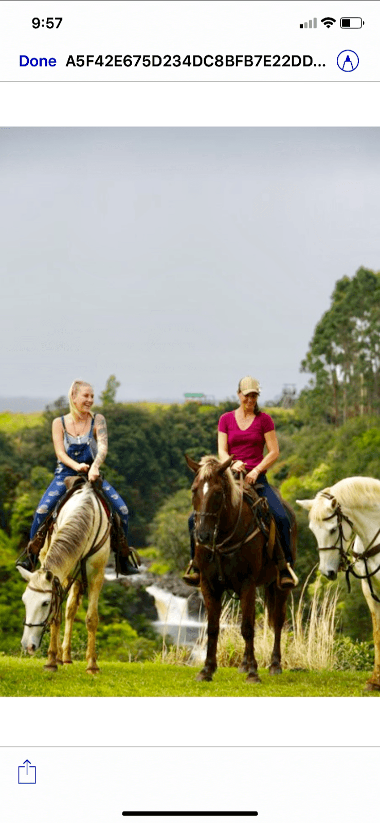 Wailea Horseback Adventure at Umauma