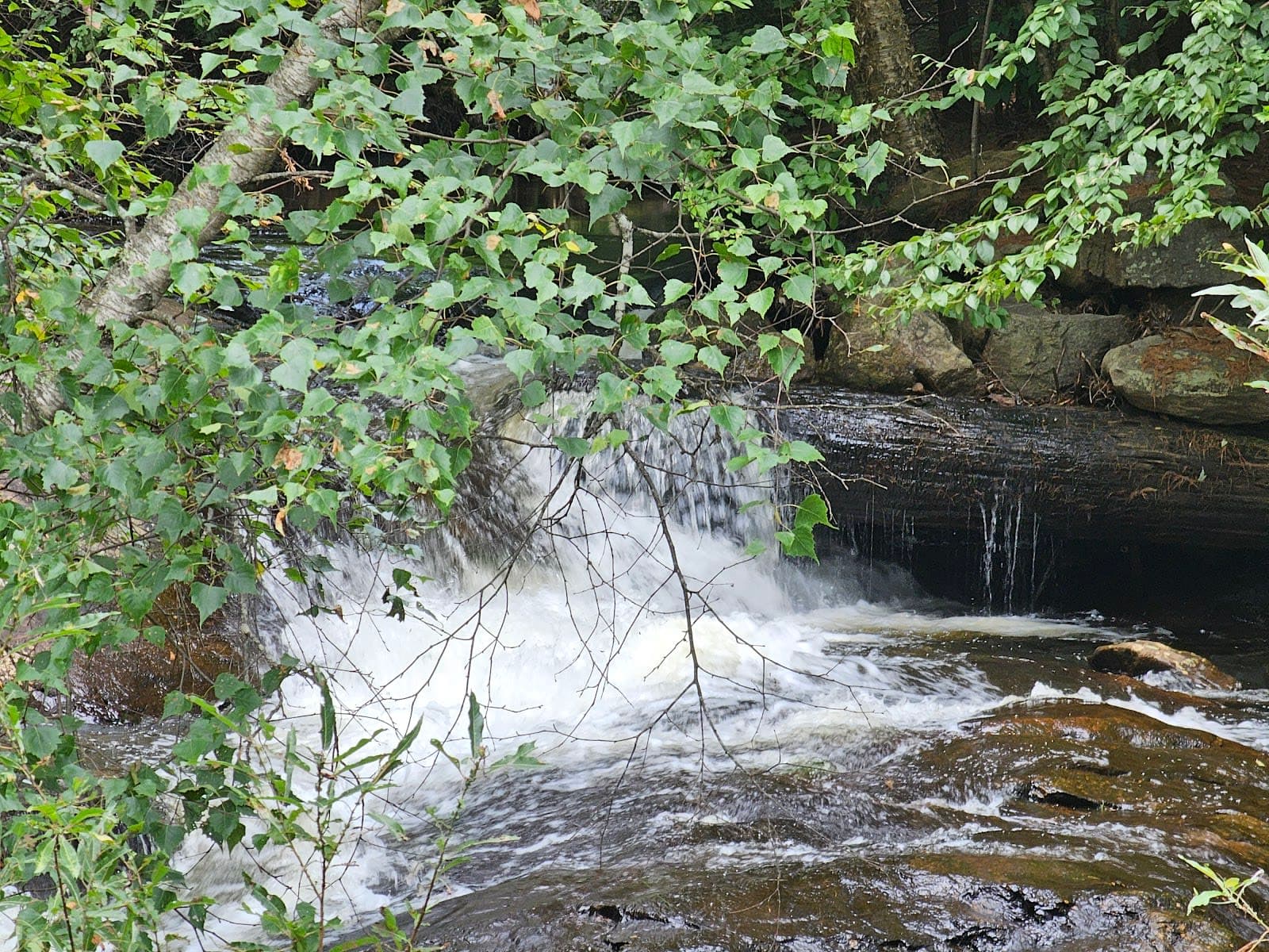 Warren Recreational Rail Trail