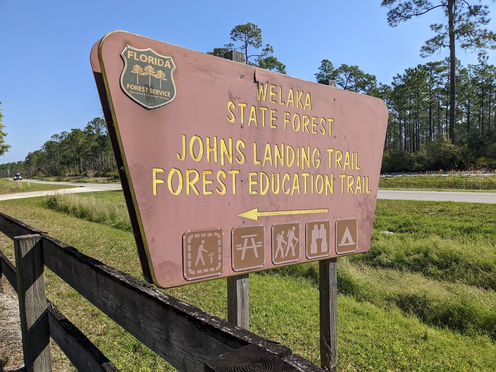 Welaka State Forest