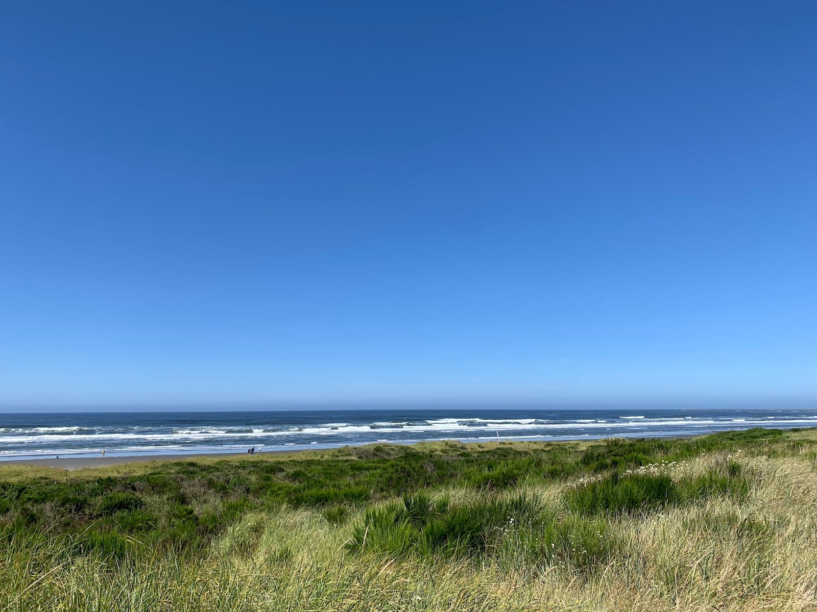 Westport Light State Park