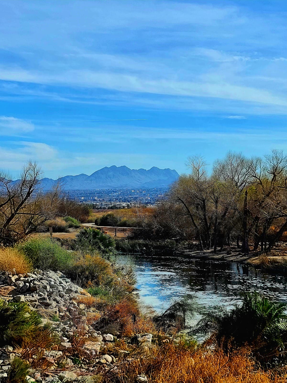 Wetlands Park North Equestrian Trails