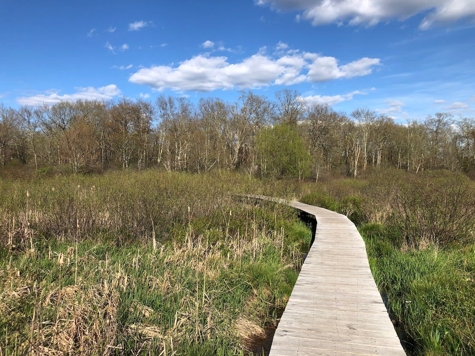 White Memorial Conservation Center