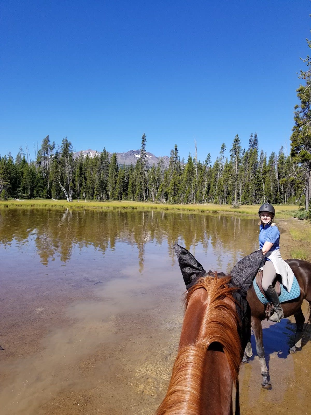 Whitefish Horse Camp