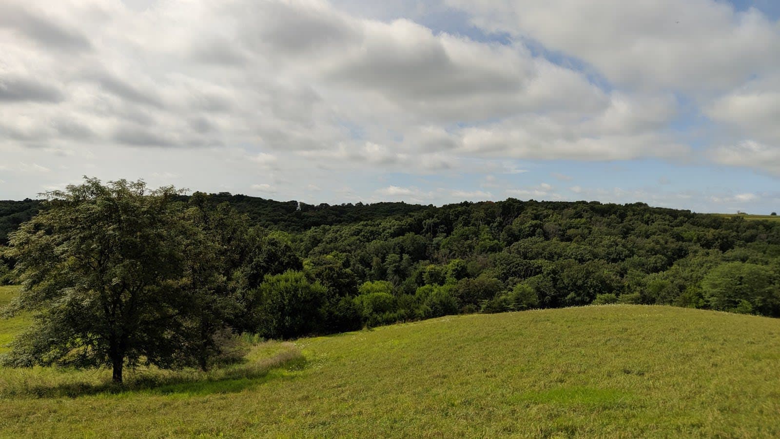 Whiterock Conservancy Equestrian Trails
