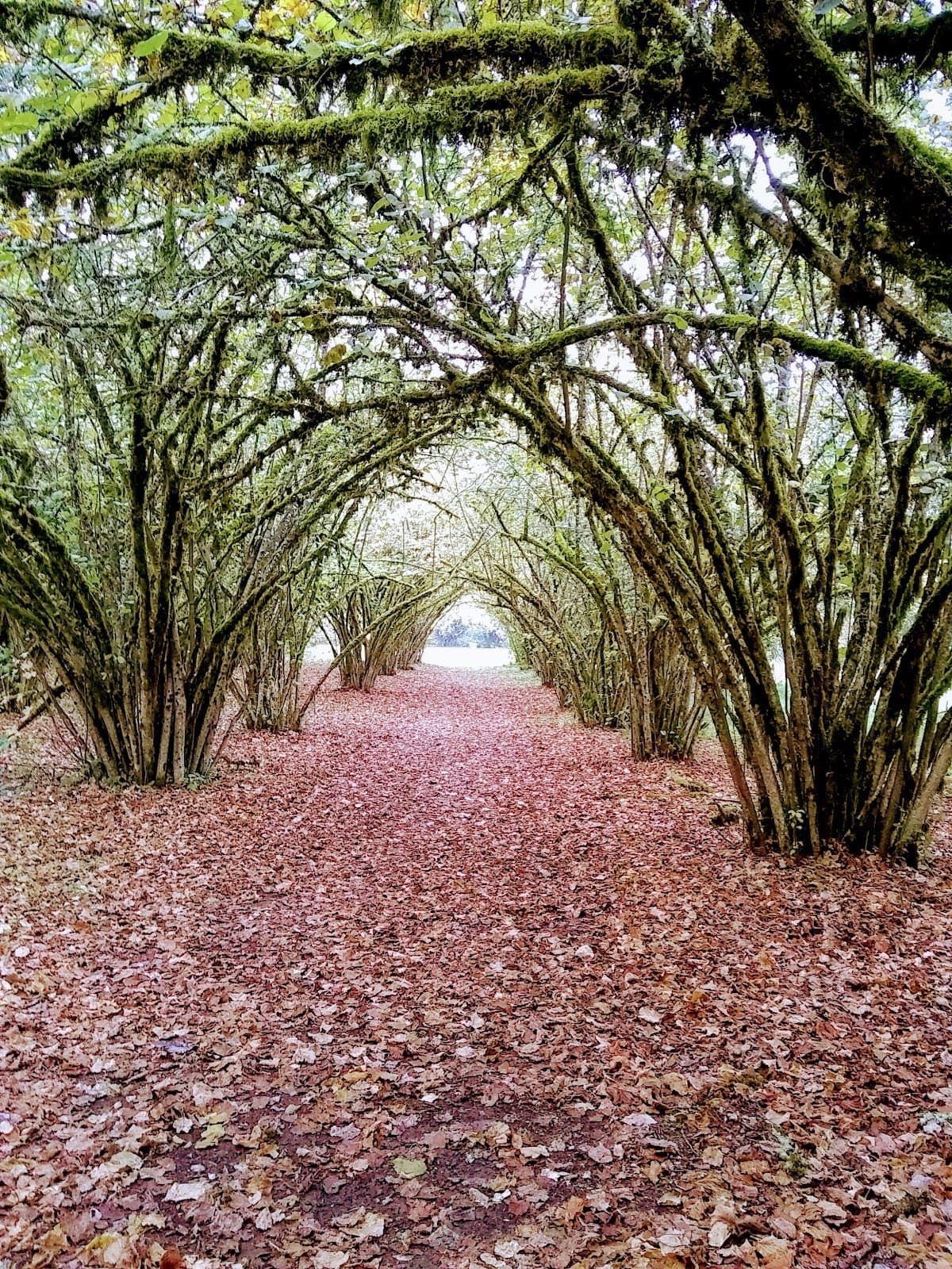 Willamette Mission State Park