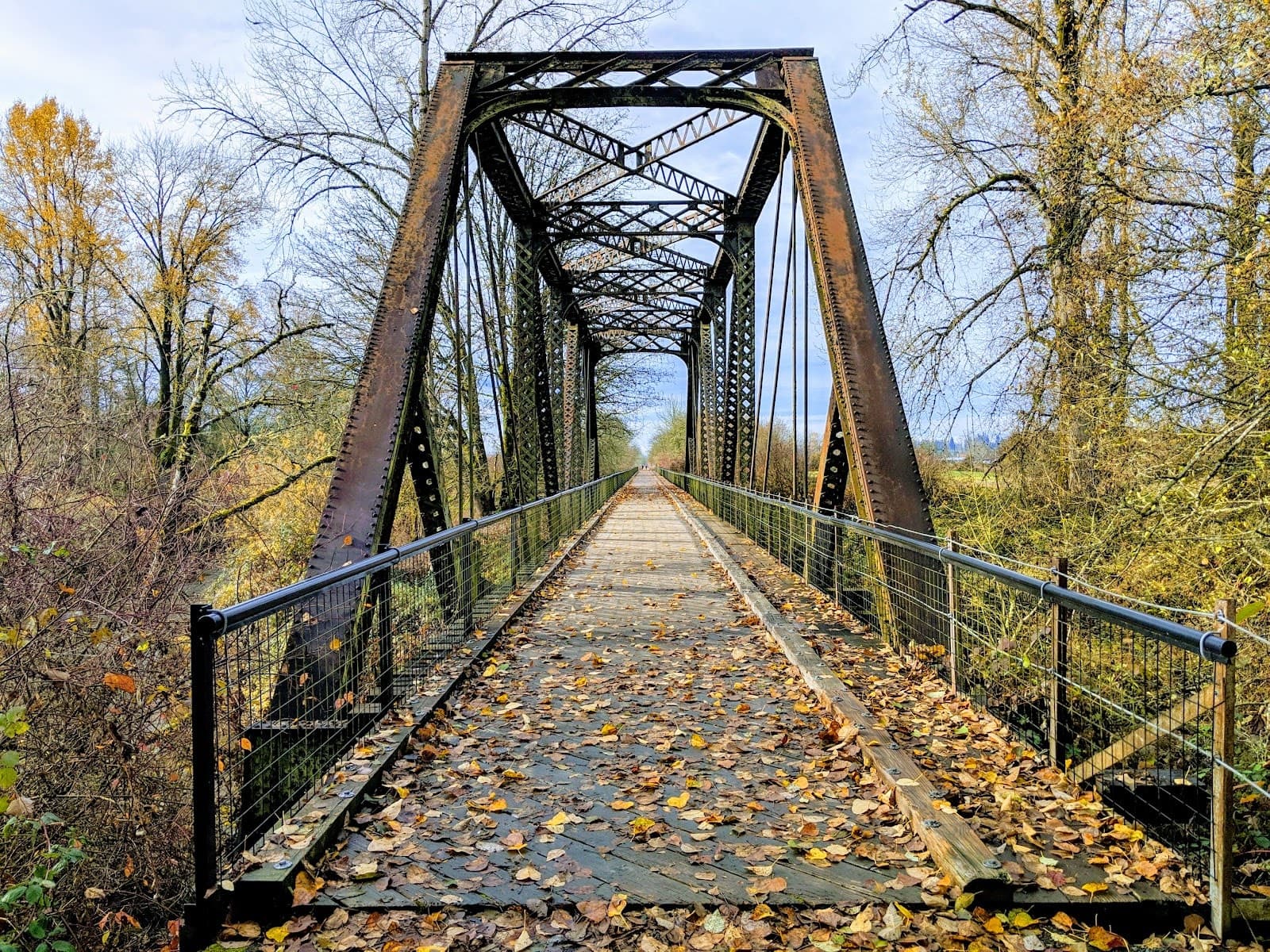 Willapa Hills State Park Trail