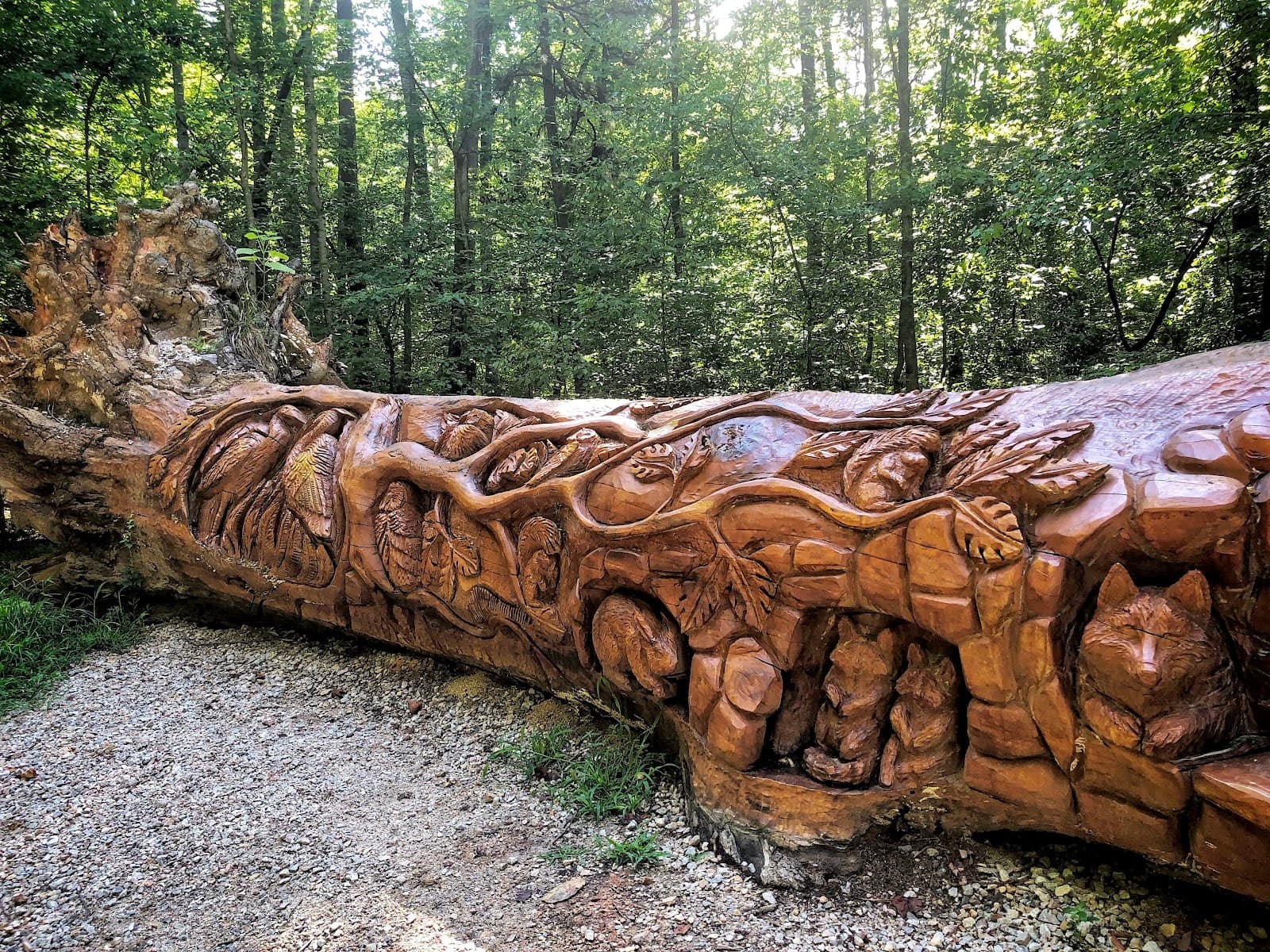 William B. Umstead State Park – Crabtree Creek Access
