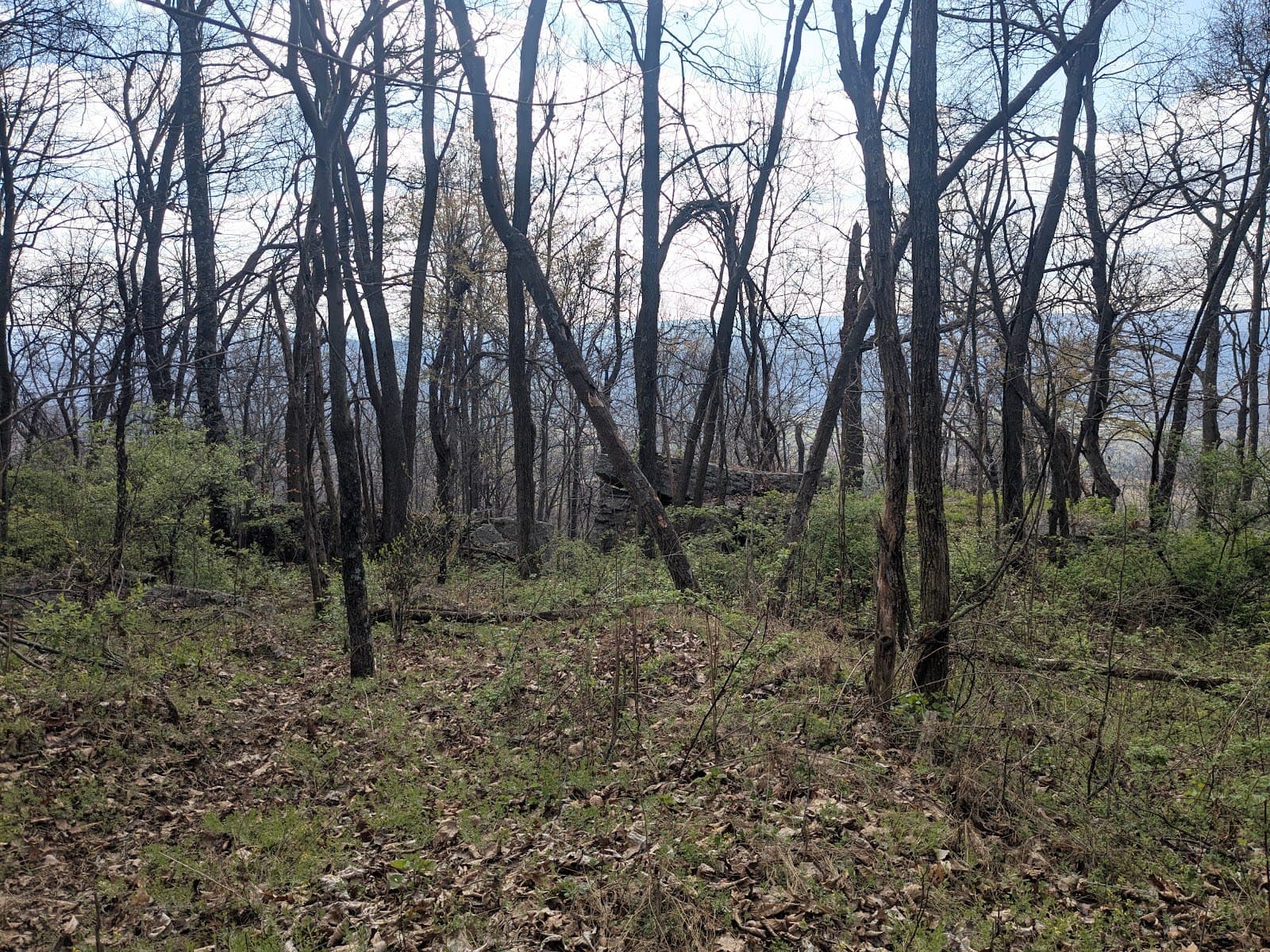 Woodmont Natural Resources Management Area