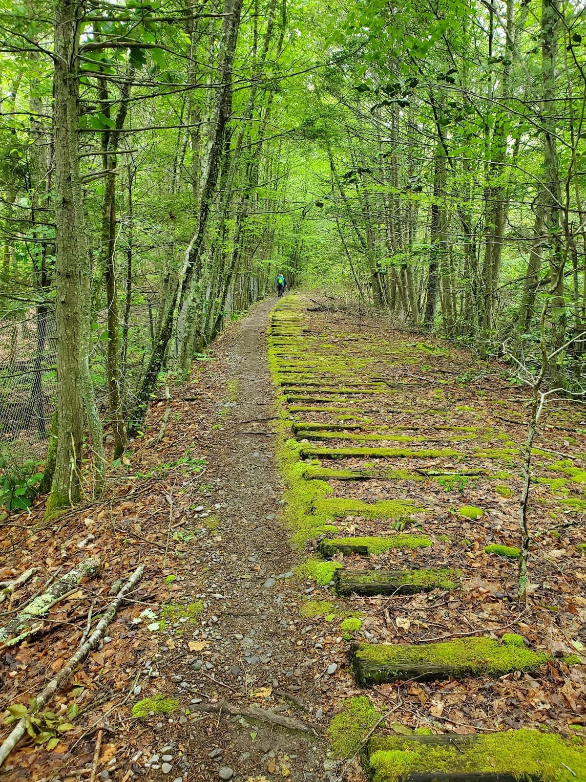 Wompatuck State Park