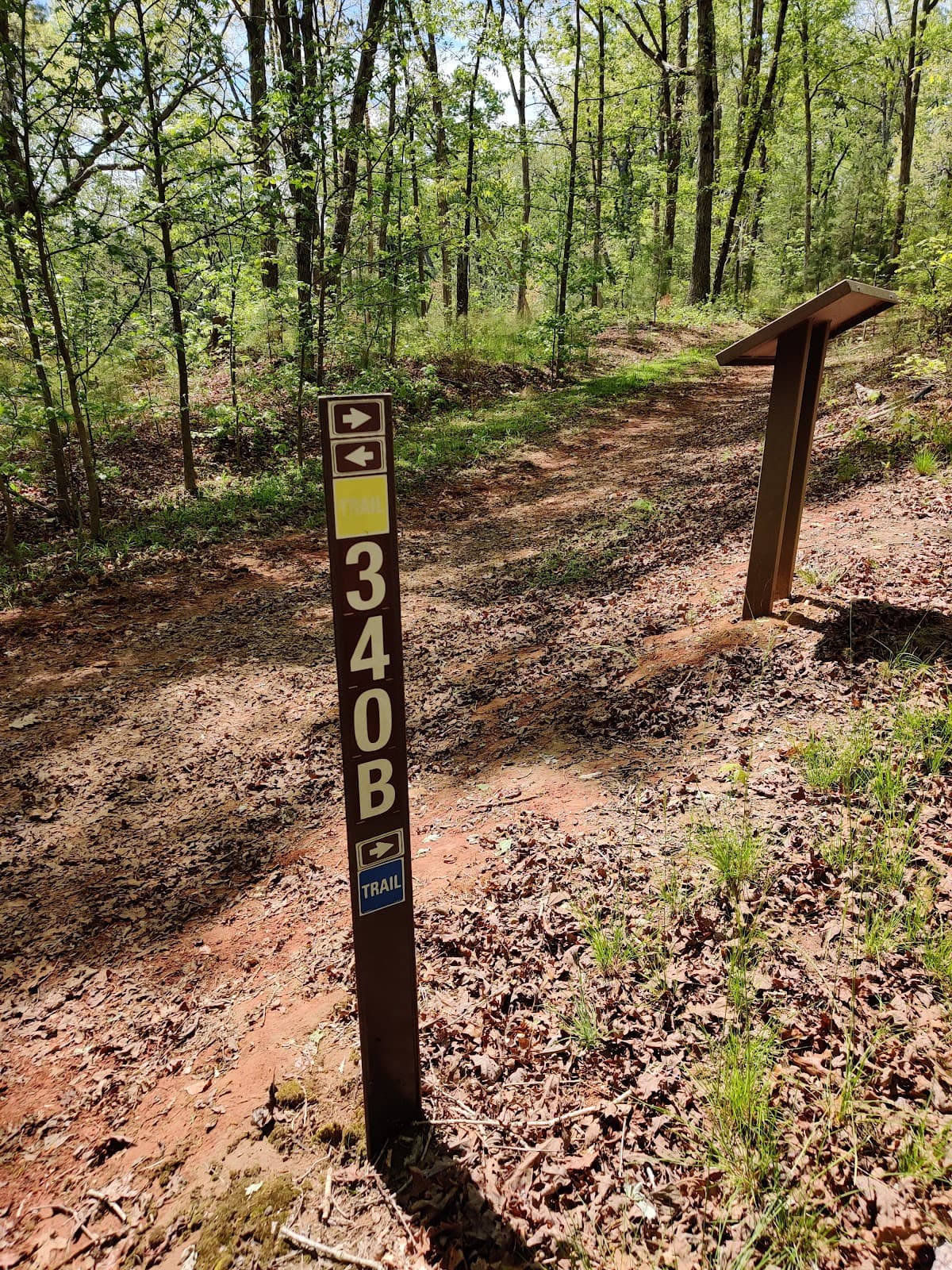 Woods Ferry Horse Trail