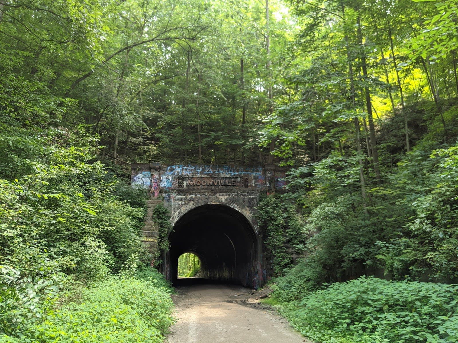 Zaleski State Forest