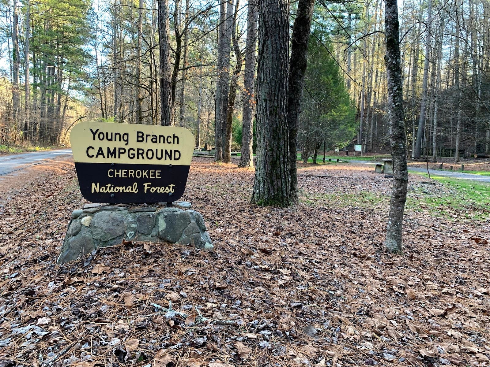 Young Branch Campground & Little Citico Horse Trails