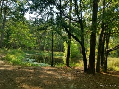 514-D White Rock Horse Camp