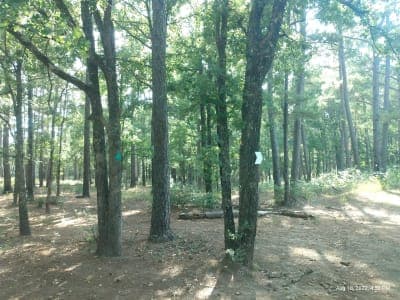 514-D White Rock Horse Camp