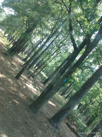 514-D White Rock Horse Camp