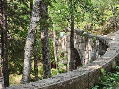 Acadia National Park | Wildwood Stables & Carriage Roads