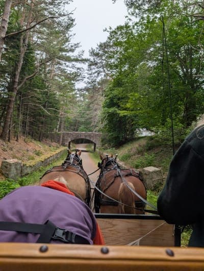 Acadia National Park | Wildwood Stables & Carriage Roads