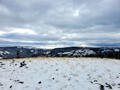 Ahtanum State Forest (Tree Phones / Grey Rock Trail)