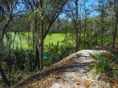 Alafia River State Park