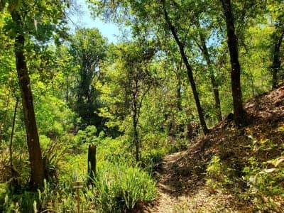 Alafia River State Park