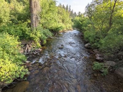 Albert Moser Campground