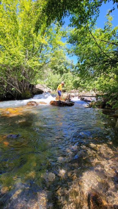 Albert Moser Campground
