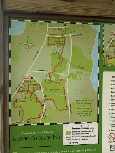 Albro Woods