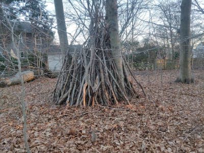 Albro Woods