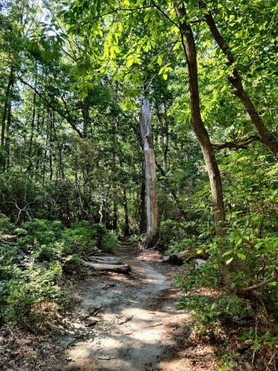 Allaire State Park