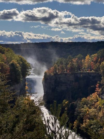 Allegany State Park