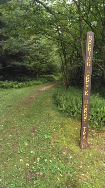 Allegheny National Forest / Kelly Pines Equestrian Area