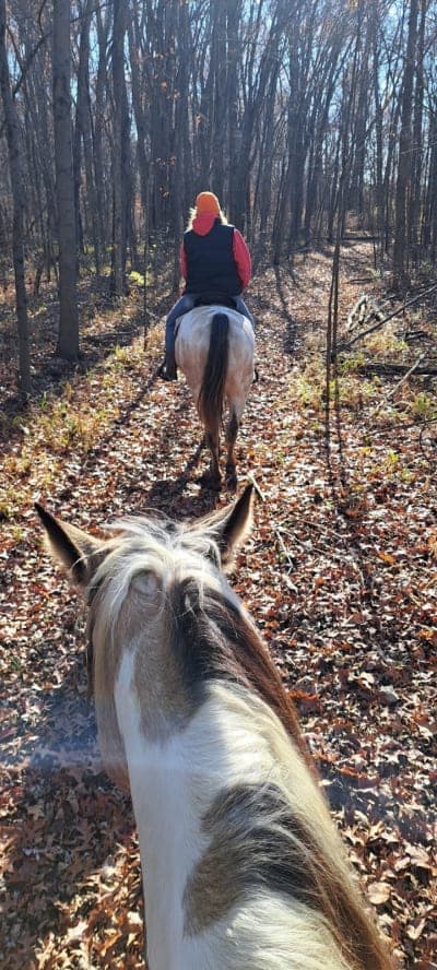 Allen County Equestrian Course
