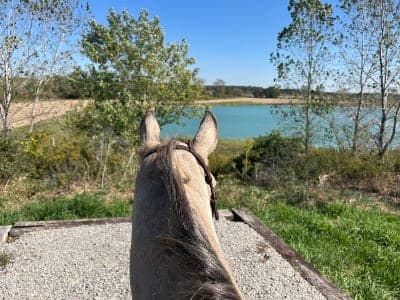 Allen County Equestrian Course