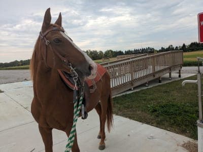 Allen County Equestrian Course