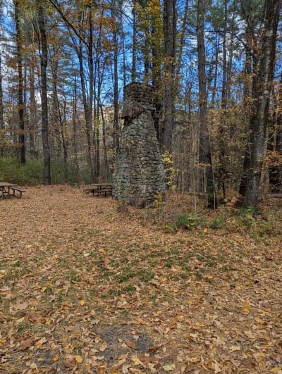 American Legion State Forest