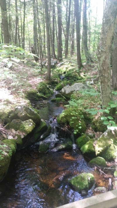 Androscoggin Riverlands State Park