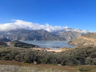Angeles National Forest