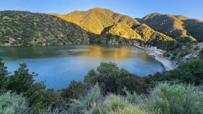 Angeles National Forest