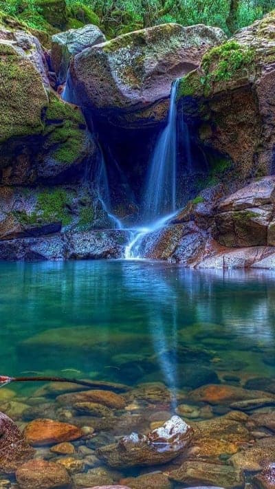 Angeles National Forest