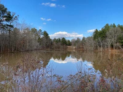 Anne Springs Close Greenway